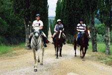 Italy-Tuscany-Seven Castles Ride in Chianti
